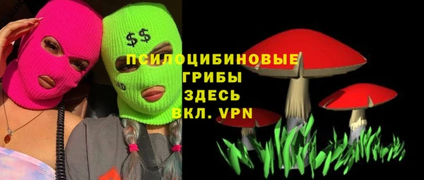 прущие грибы Верхнеуральск