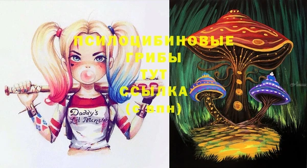 прущие грибы Верхнеуральск