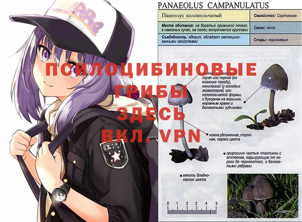 мдма Верхний Тагил