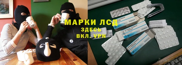 прущие грибы Верхнеуральск